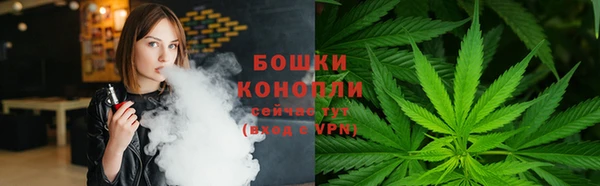 сатива Баксан