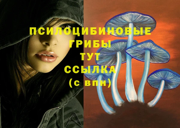 сатива Баксан