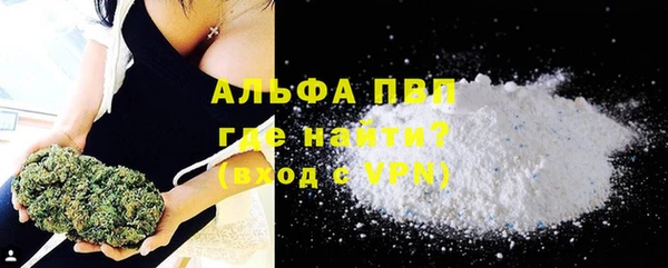 сатива Баксан